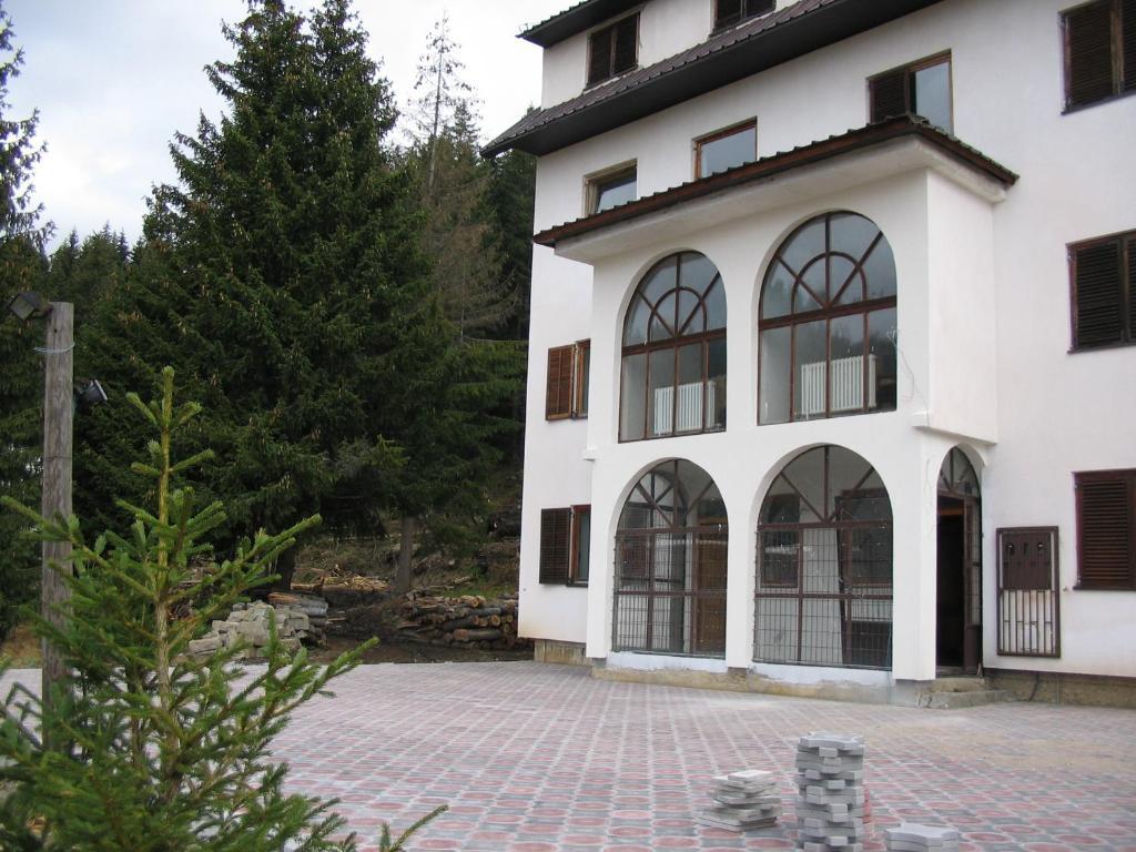 Villa Kostic Копаоник Экстерьер фото